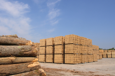 Production de conteneurs en bois